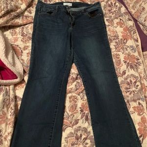 Lane Bryant jeans